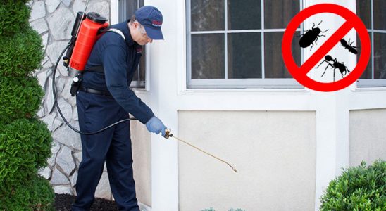 Arapgir Dezenfeksiyon böcek ilaçlama ve haşere kontrolü — ilaclama-tr.com